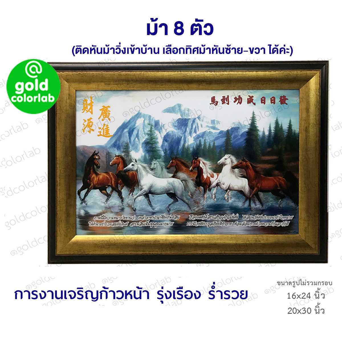 กรอบรูป มงคล ม้า8ตัว 20x30 นิ้ว กรอบสีทองด้าน ม้ามงคล กรอบสีทองด้าน 3 นิ้ว
