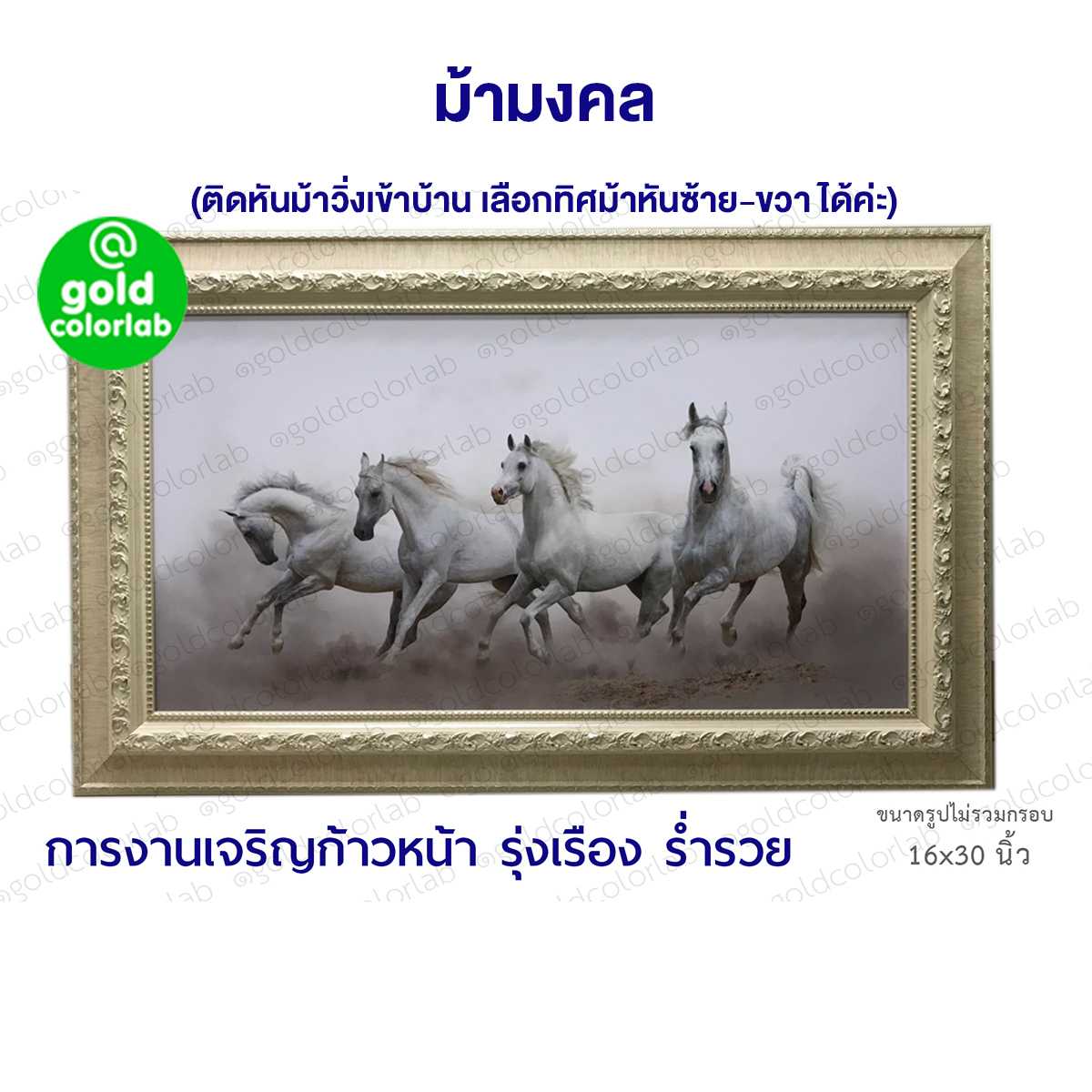 กรอบรูป มงคล ม้ามงคล 16x30 นิ้ว  ม้ามงคล กรอบสีขาวครีม  3 นิ้ว