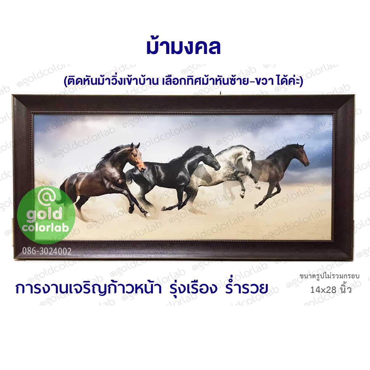 กรอบรูป มงคล ม้ามงคล 16x38 นิ้ว  ม้ามงคล กรอบสีโอ๊คเข้ม  2.5 นิ้ว
