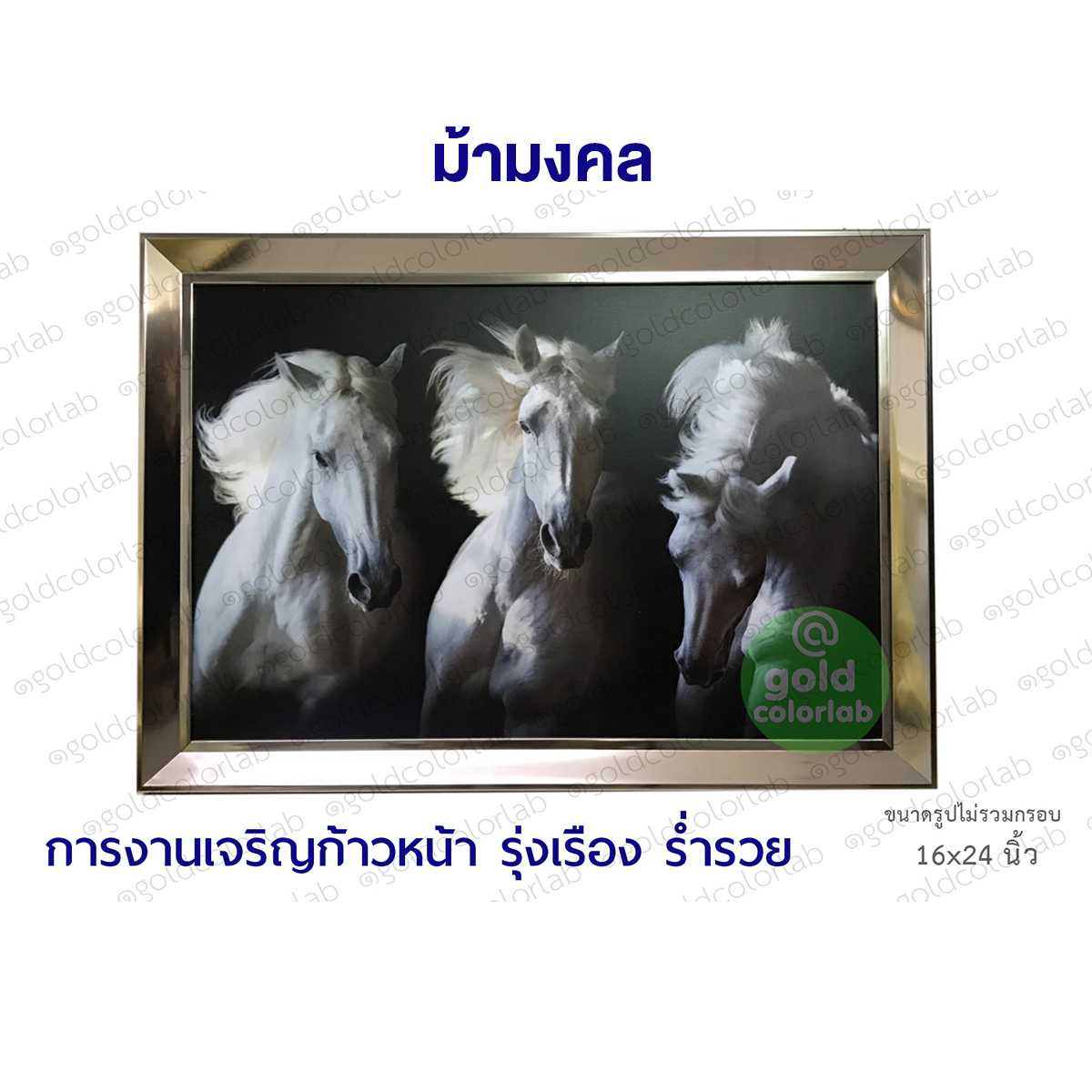 กรอบรูป มงคล ม้ามงคล 16x24 นิ้ว ม้ามงคล กรอบสีเงิน 2 นิ้ว