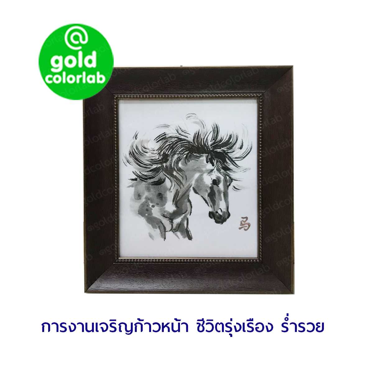 กรอบรูป มงคล ม้ามงคล 16x16 นิ้ว ม้ามงคล กรอบสีโอ๊คเข้ม 2.5 นิ้ว