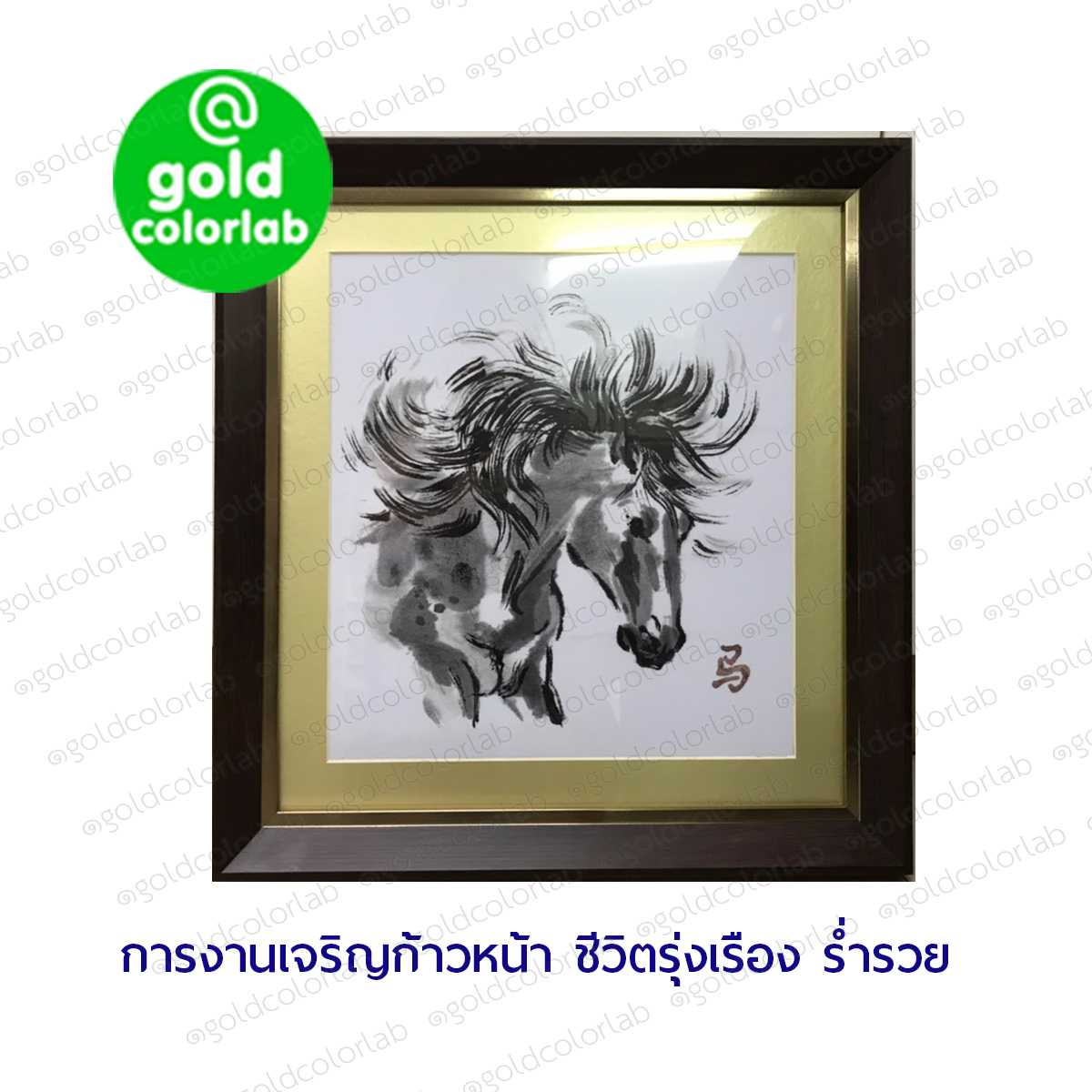 กรอบรูป มงคล ม้ามงคล 48x50 cm ม้ามงคล กรอบสีโอ๊คเข้ม 2 นิ้ว