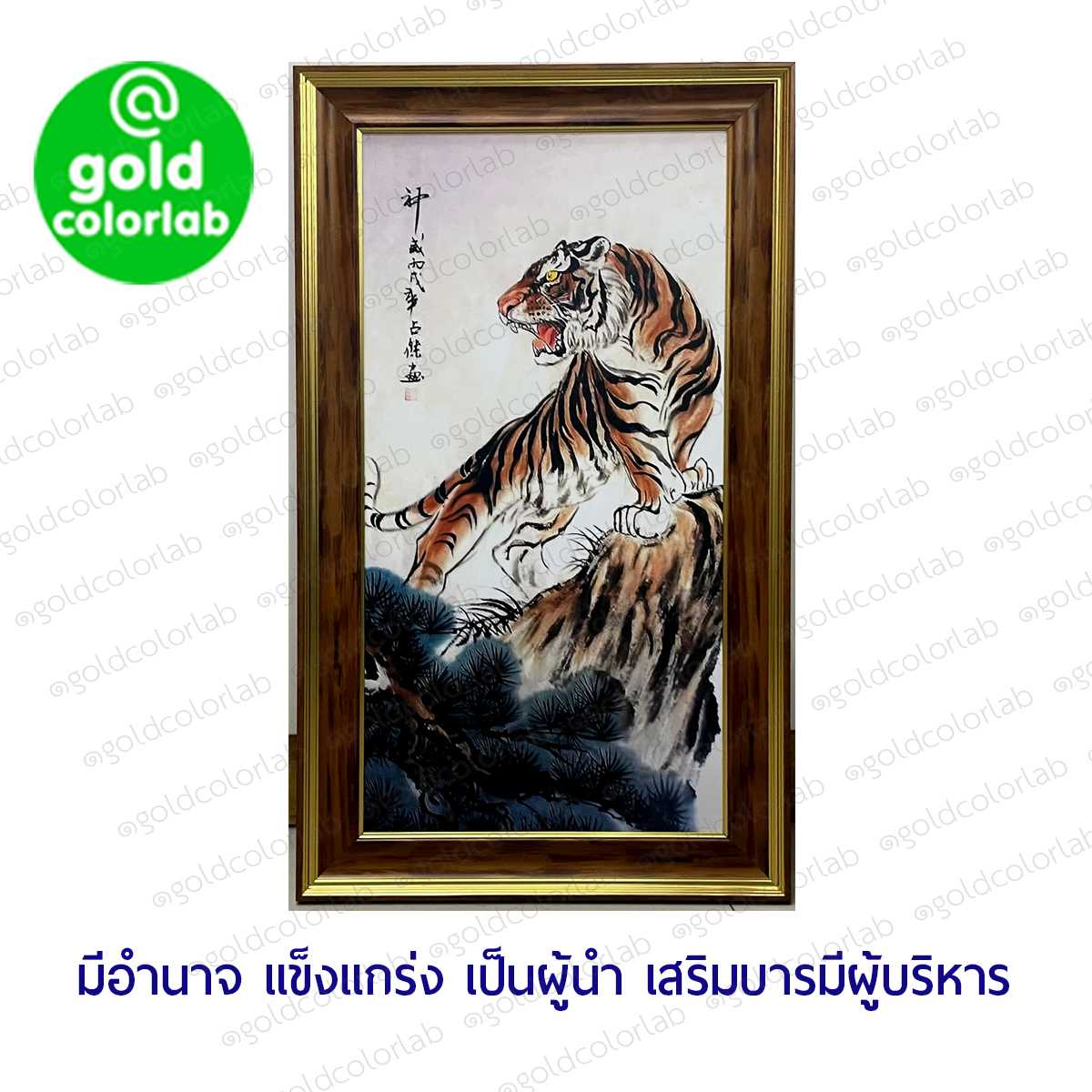 กรอบรูป มงคล เสือมงคล 12x24 นิ้ว กรอบสีโอ๊ค 2 นิ้ว