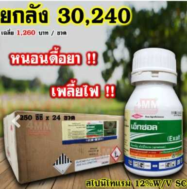 เอ็กซอล  250 มล.  x  24  ขวด   #ราคายกลัง  #สารกำจัดแมลง