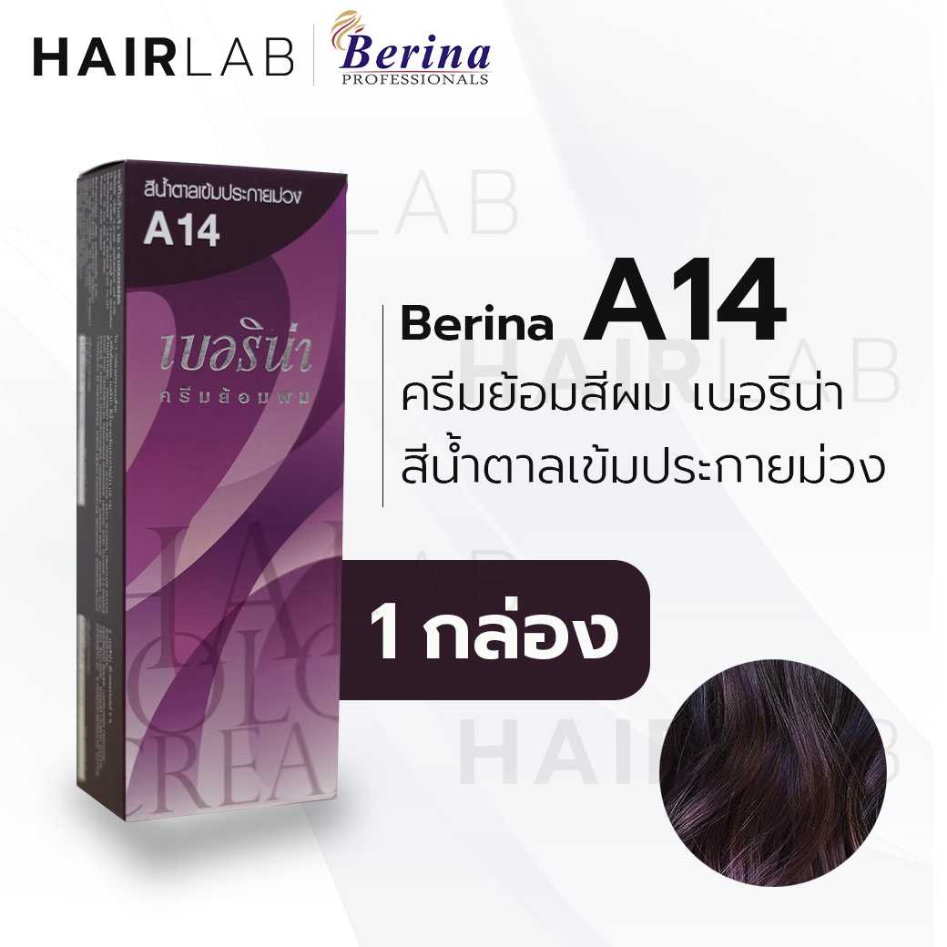 Berina A14 เบอริน่า A14 สีย้อมผม สีน้ำตาลเข้มประกายม่วง ยาย้อมผม ปิดผมหงอก ปิดผมขาว ครีมเปลี่ยนสีผม