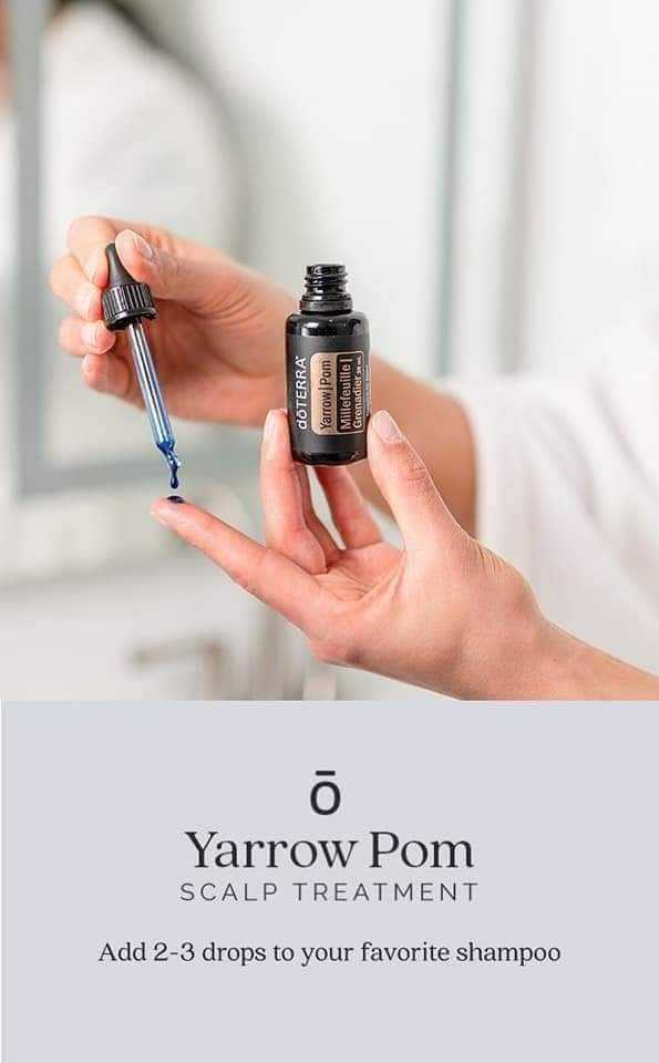 YAROW POM