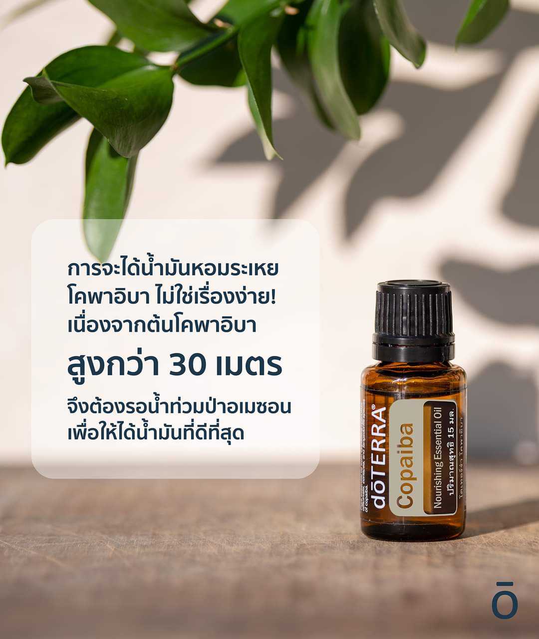 Copaiba