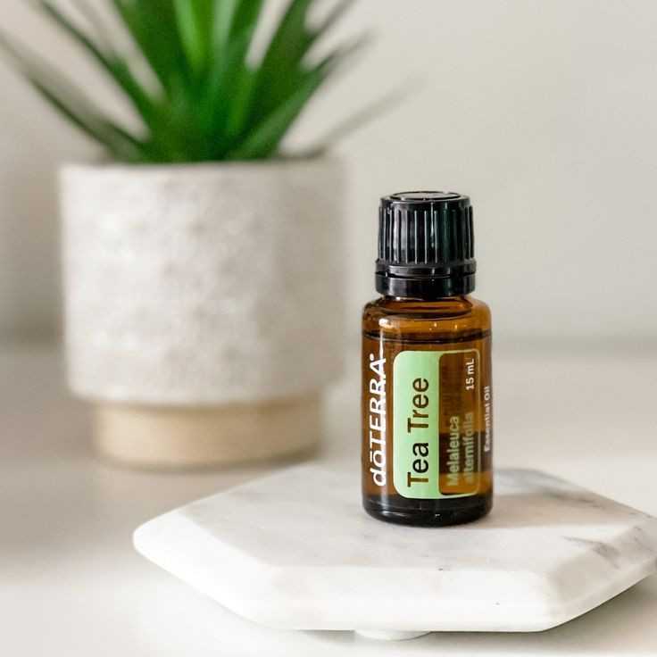 Tea Tree