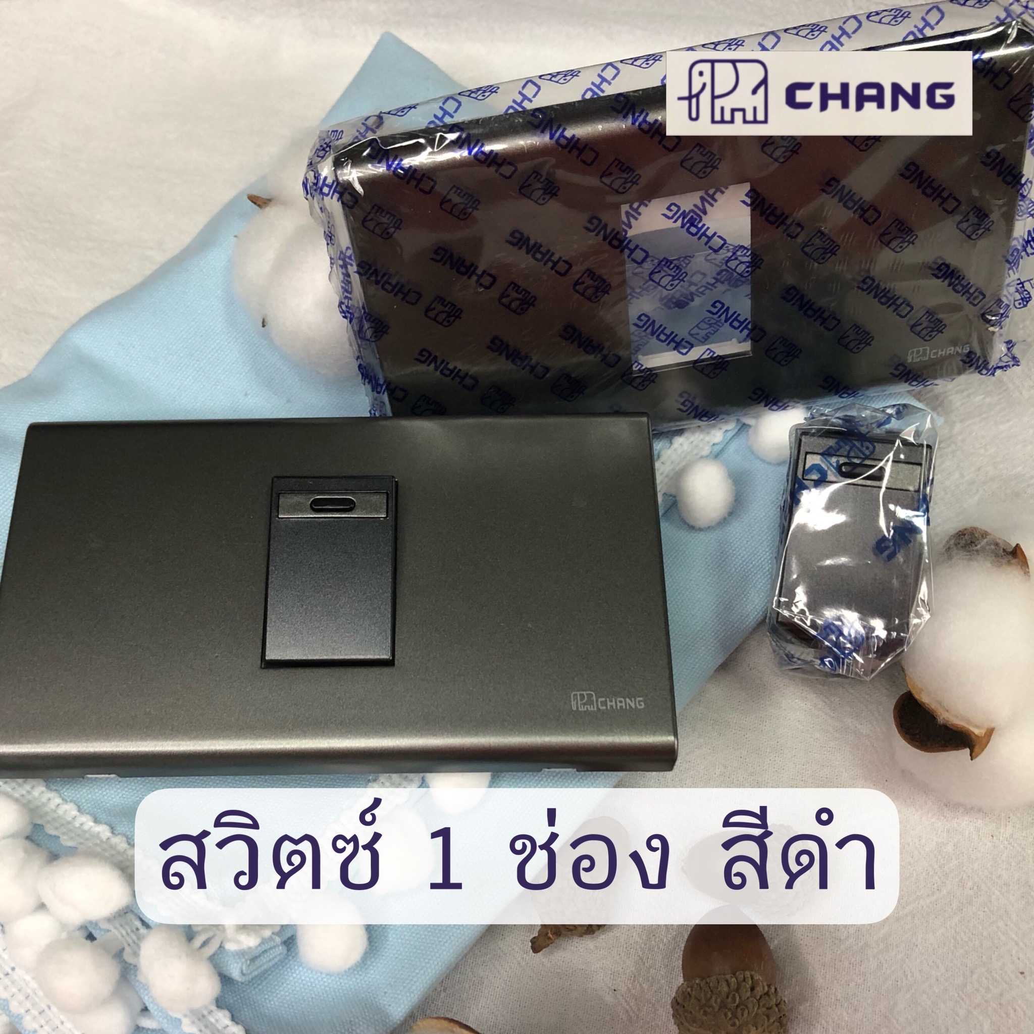 CHANG สวิตซ์ 1 ช่อง สีดำ  ขันน็อต