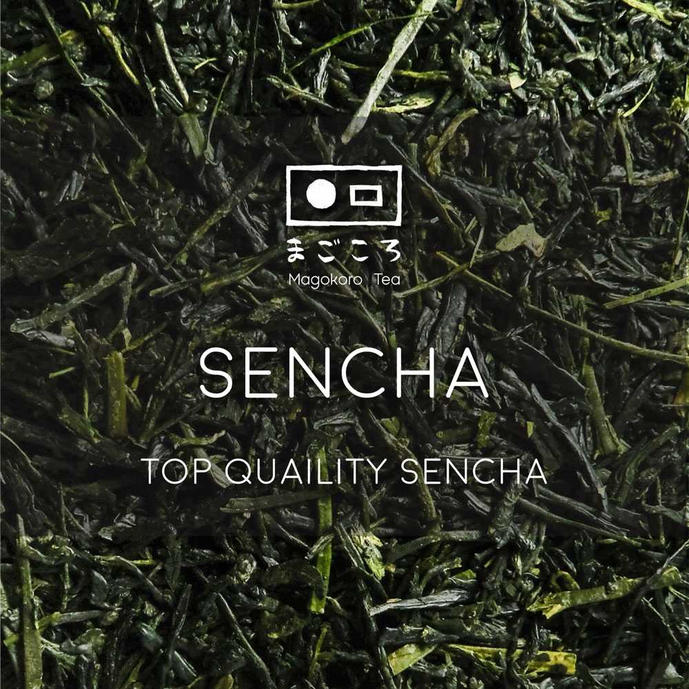 Sencha ฤดูเก็บเกี่ยวแรกของปี  (Shincha) : New First Flush Sencha Tea with Exceptional Quality.