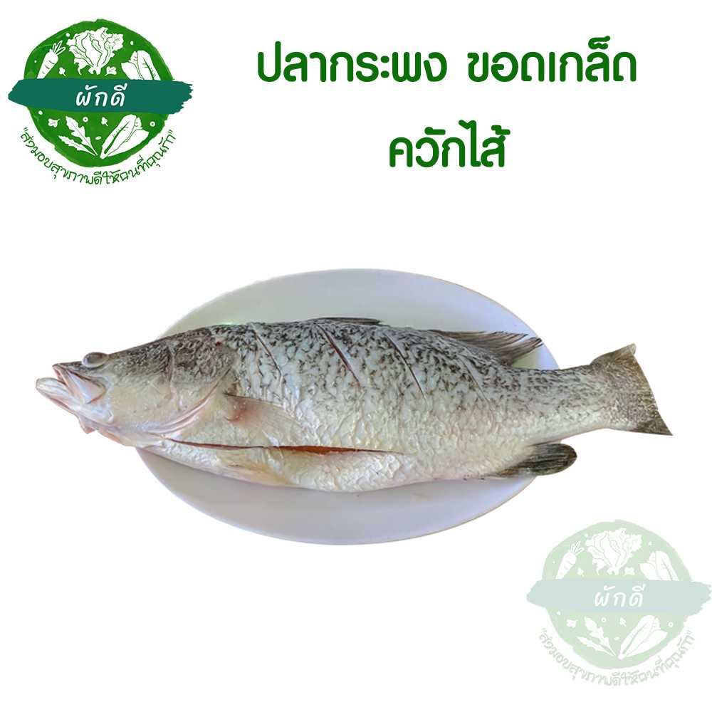 ปลากระพง ขอดเกล็ด ควักไส้