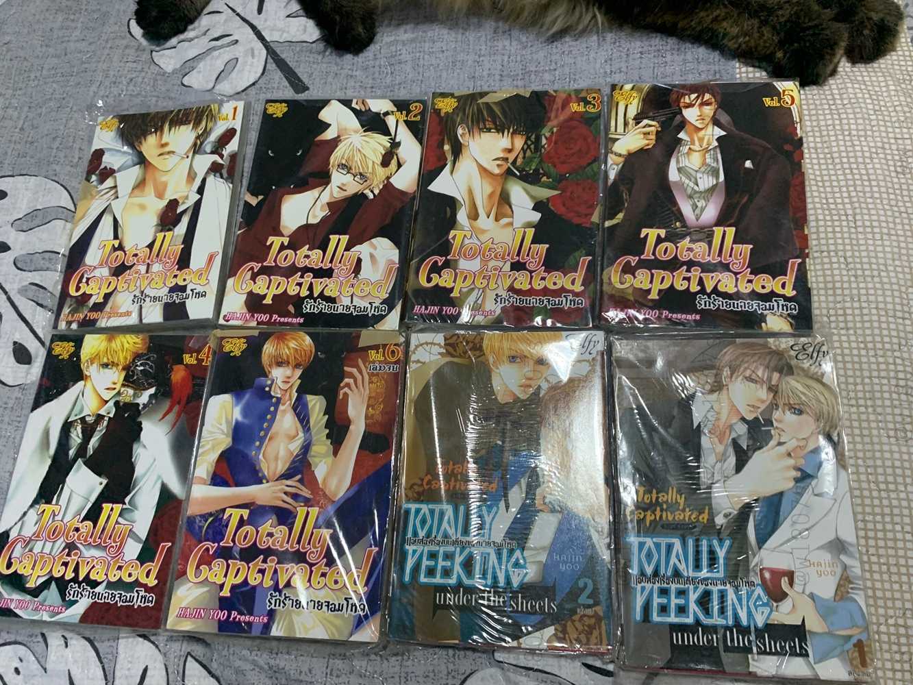 วายเกาหลี  totally captivated BL