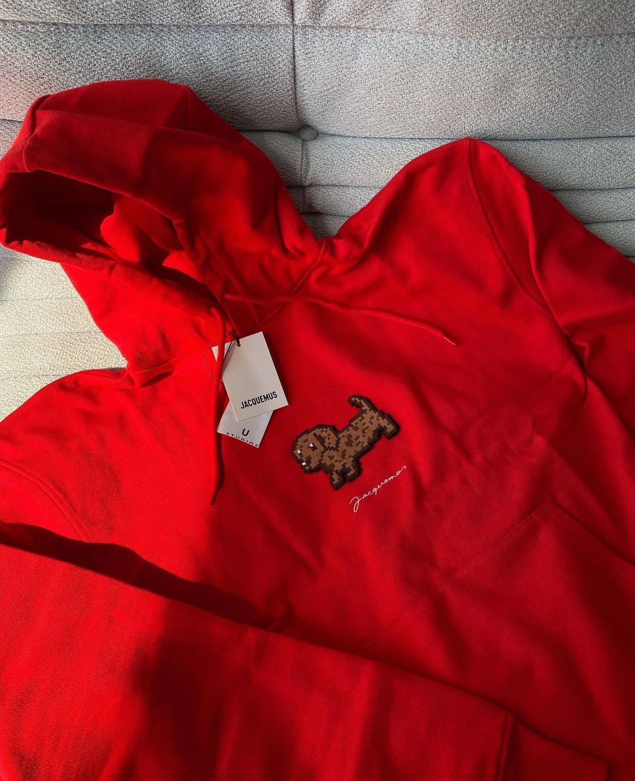 Jacquemus puppy hoodie (M)