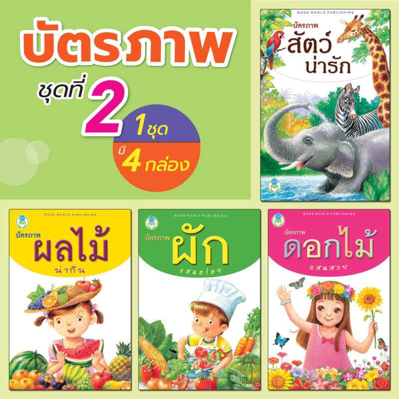 Book World Flash Card บัตรภาพชุดที่ 2  (1 ชุด มี 4 กล่อง)
