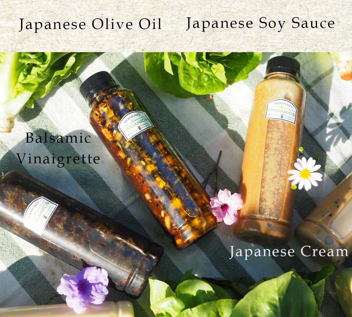 Japanese Soy Sauce