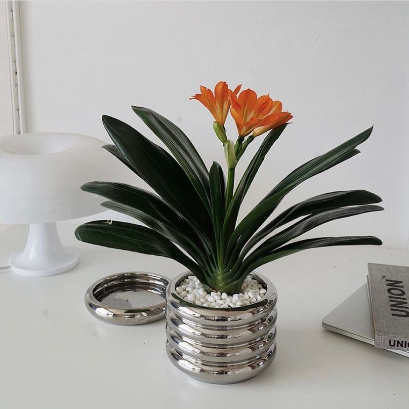 Michelin pot (Pre-order)