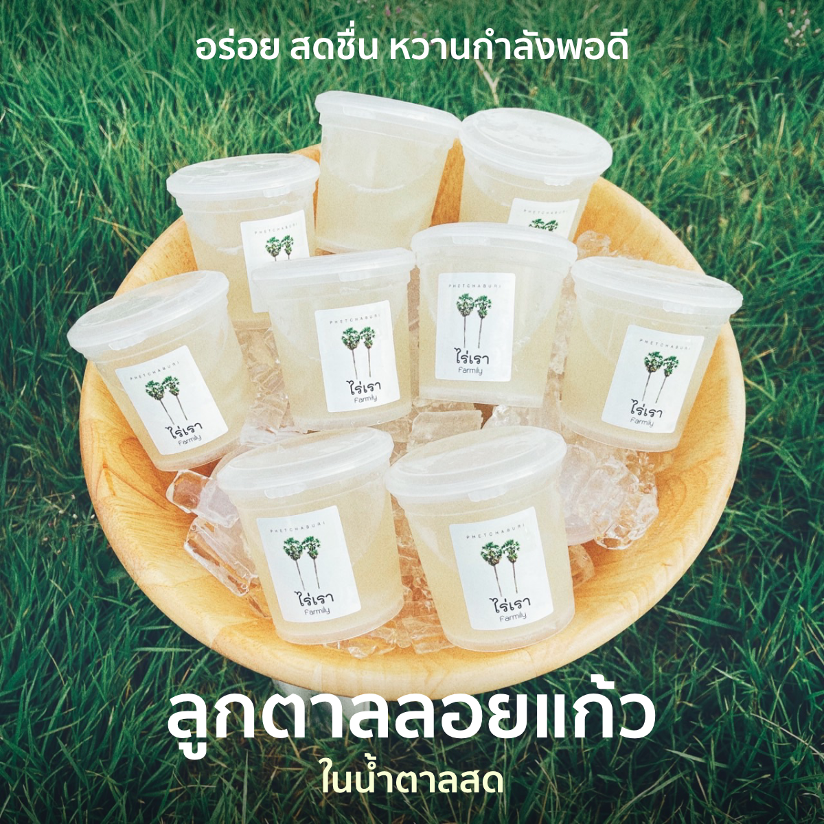 ลูกตาลลอยแก้ว เนื้อลูกตาลอ่อนในน้ำตาลสด (ส่งแช่แข็ง)