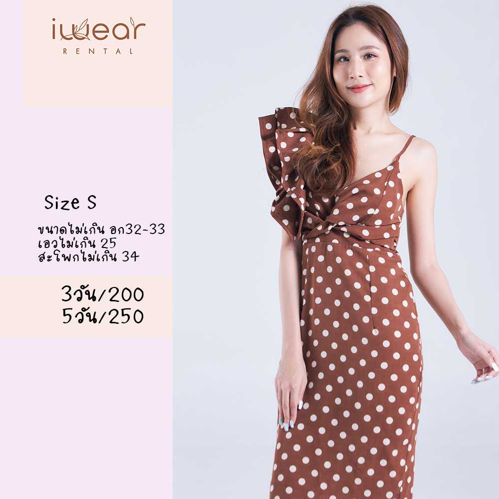 Brown Dot / Size S IW สีน้ำตาล