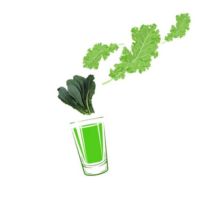 ผักเคล100% wellness shot
