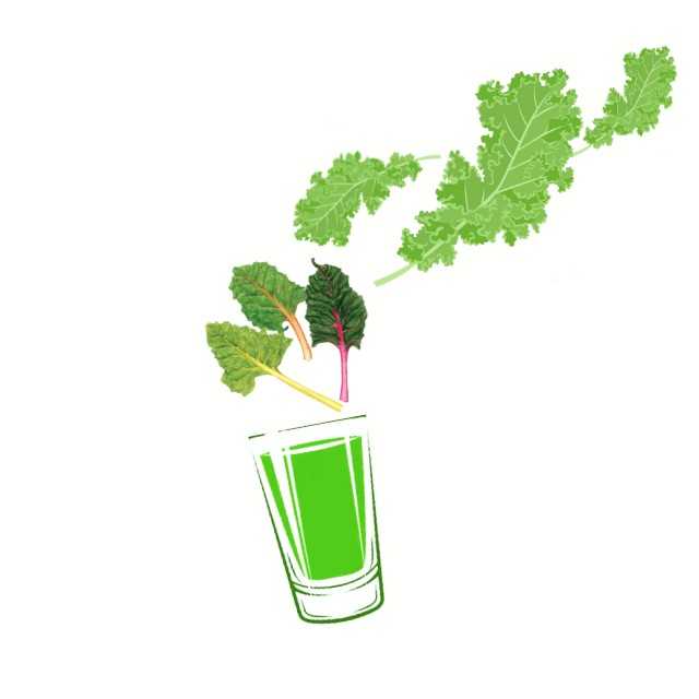 ผักเคลสวิสชาร์ด100% wellness shot