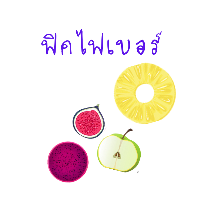 ฟิคไฟเบอร์