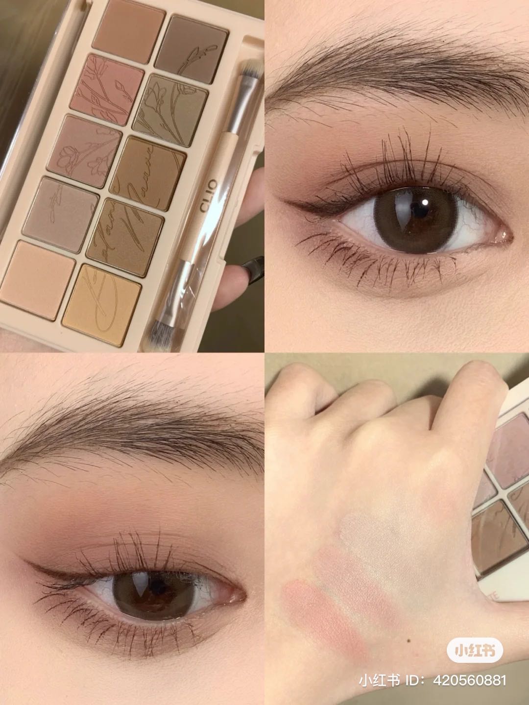 พร้อมส่ง Clio palette