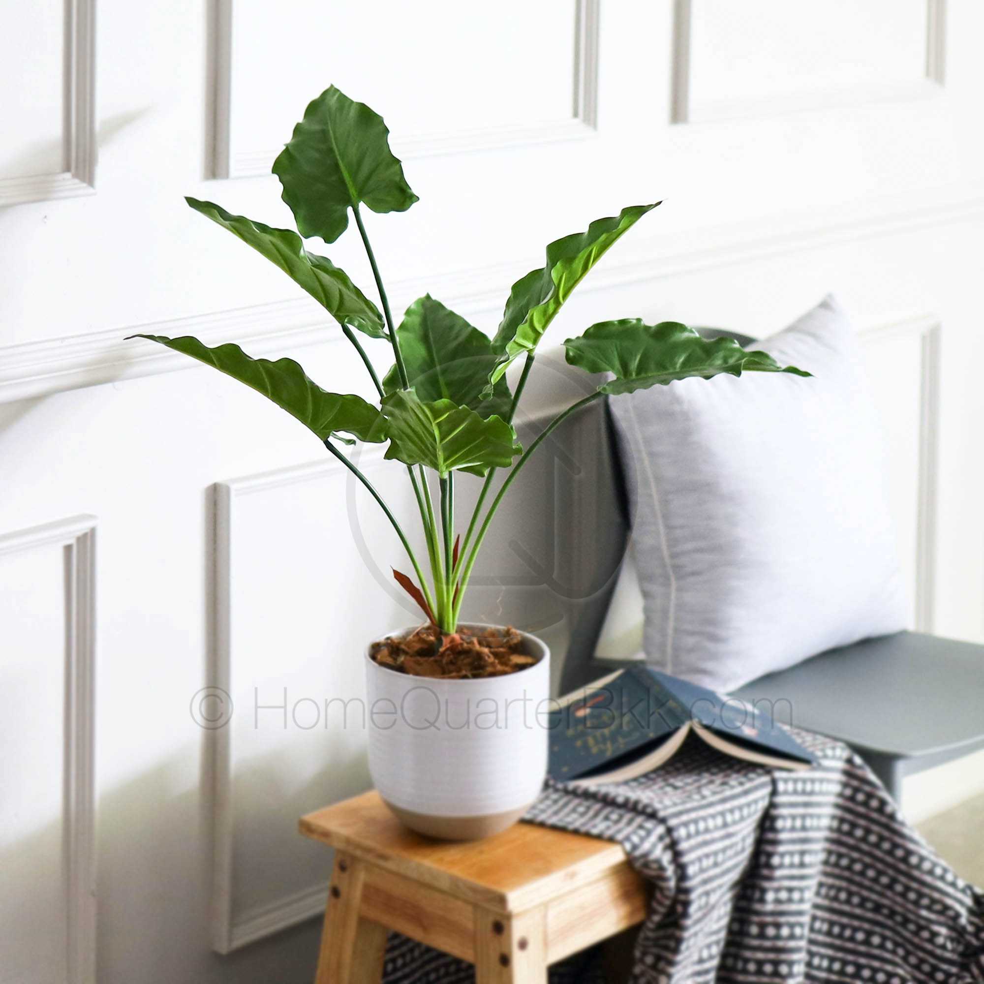 ฟิโล ต้นไม้เทียม | Philo Faux Plant