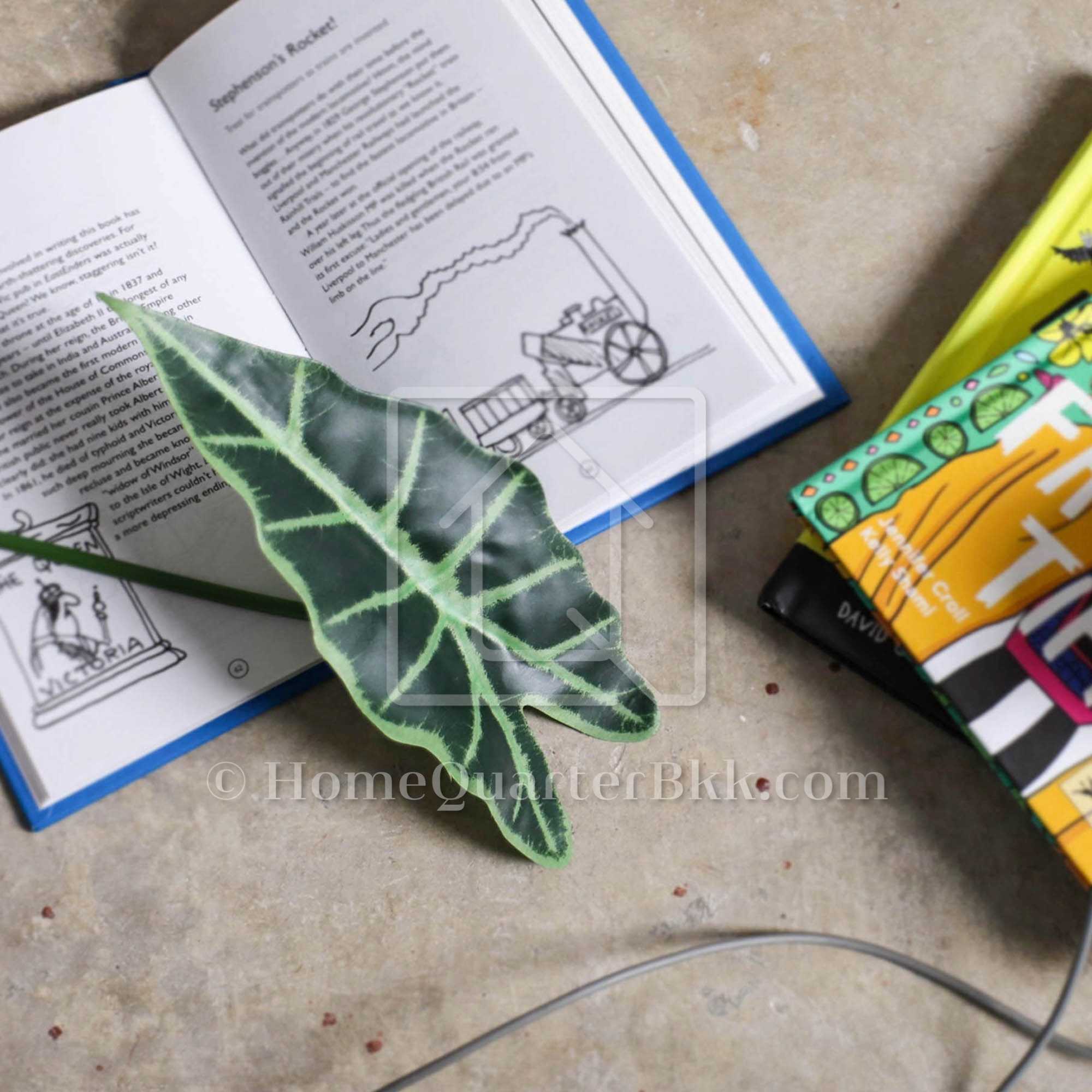 ใบอโลคาเซียเทียม | Alocasia Leaf