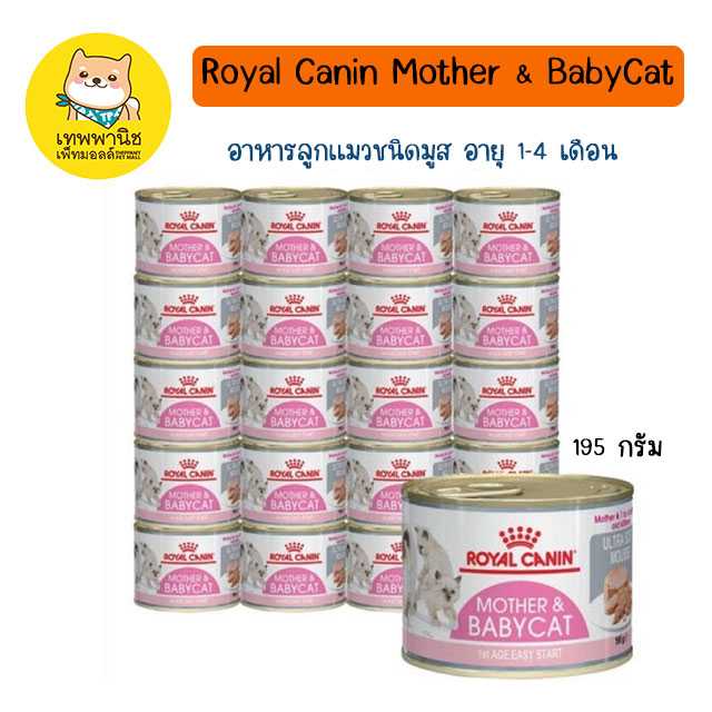 Royal Canin BabyCat Can Tray อาหาร เปียก ลูกแมว อายุ 1-4 เดือน มูส 195 กรัม (1 กระป๋อง, 1 ถาด)