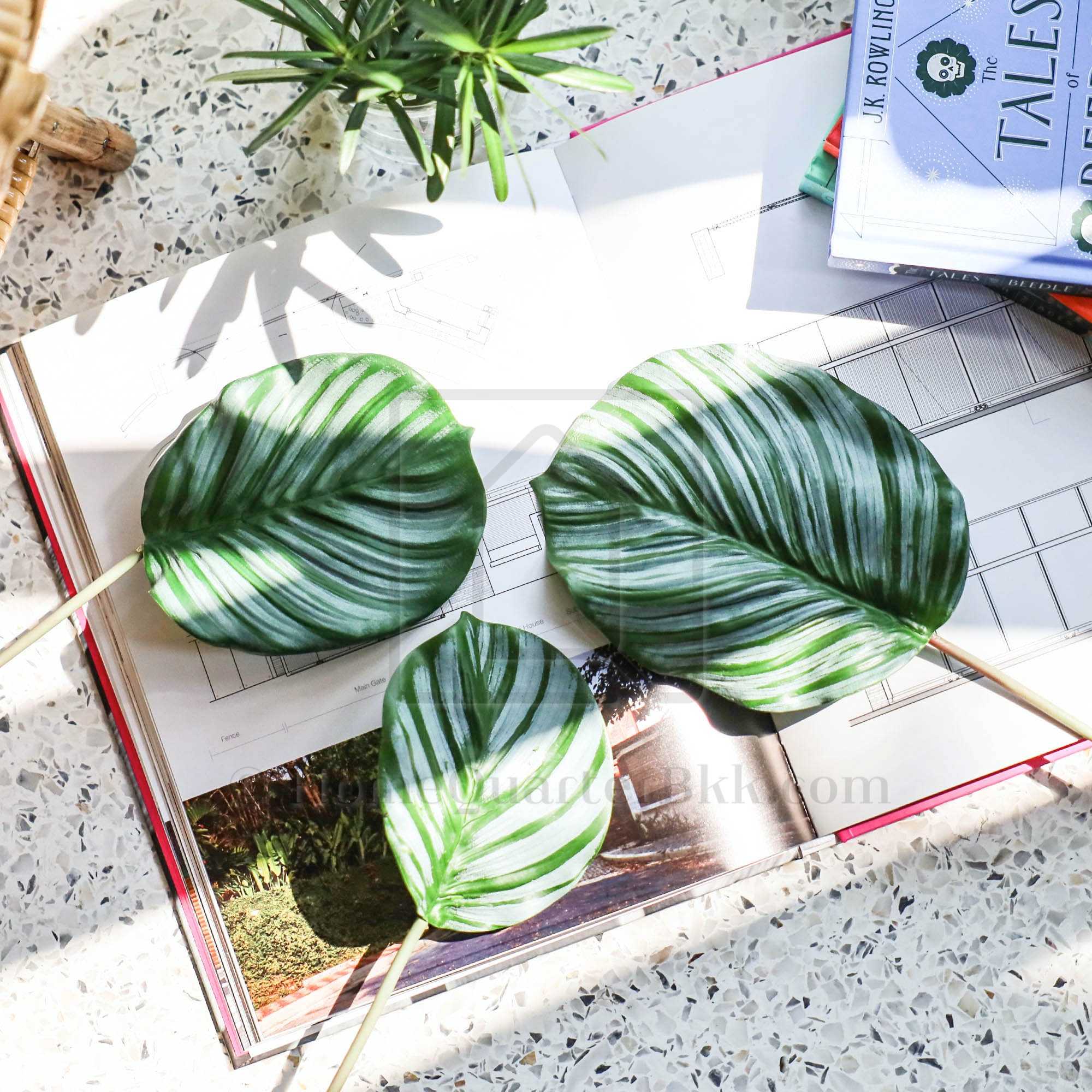 ใบบอนเทียม | Bon Leaf