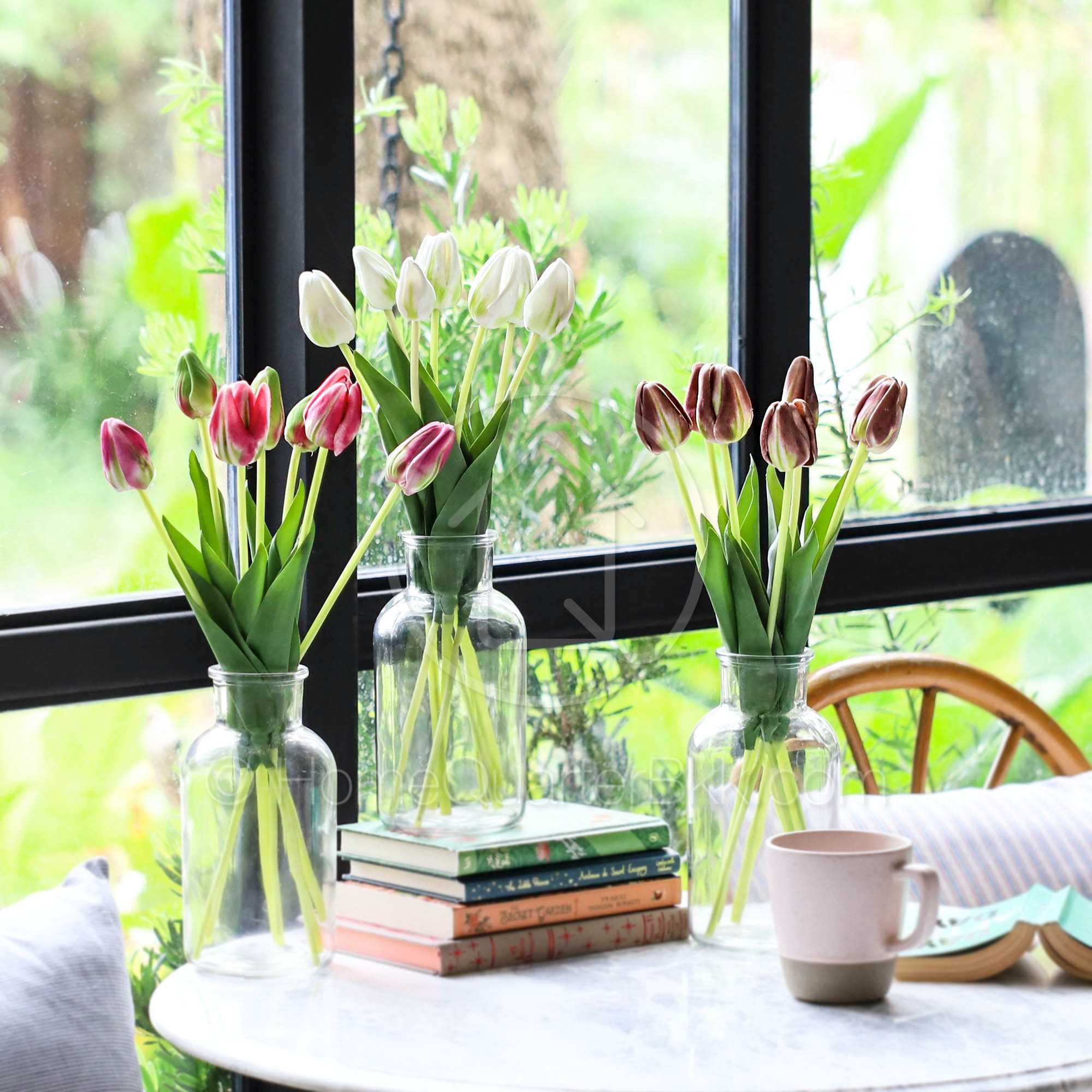 ดอกทิวลิป | Tulip
