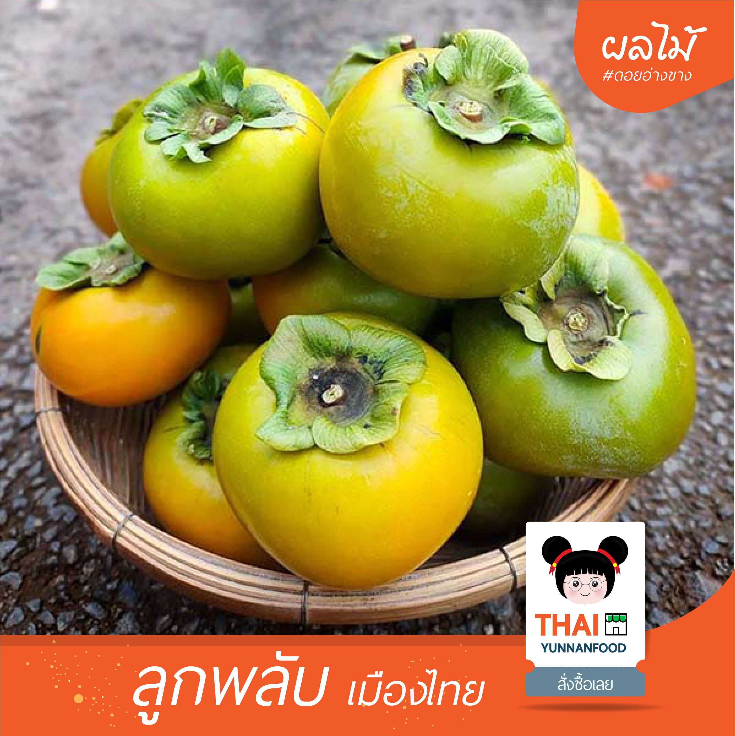 ลูกพลับ 柿子  | ผลไม้สดตามฤดูกาล จ. เชียงใหม่  ดอยอ่างขาง