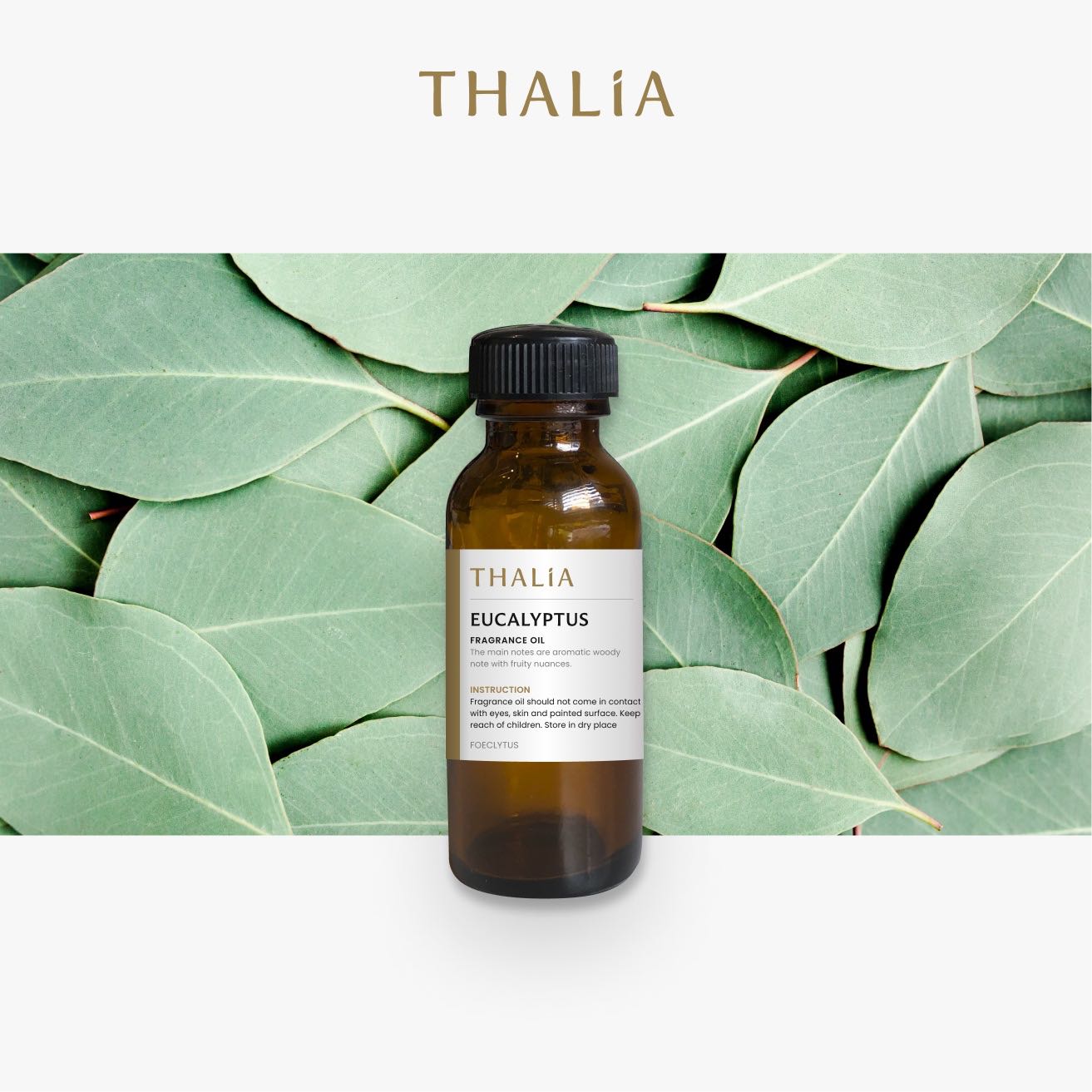 หัวน้ำหอมFragrance oil กลิ่น EUCALYPTUS