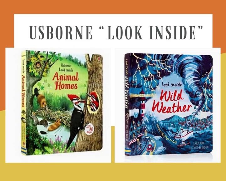 Usborne Look inside หนังสือความรู้สำหรับเด็ก