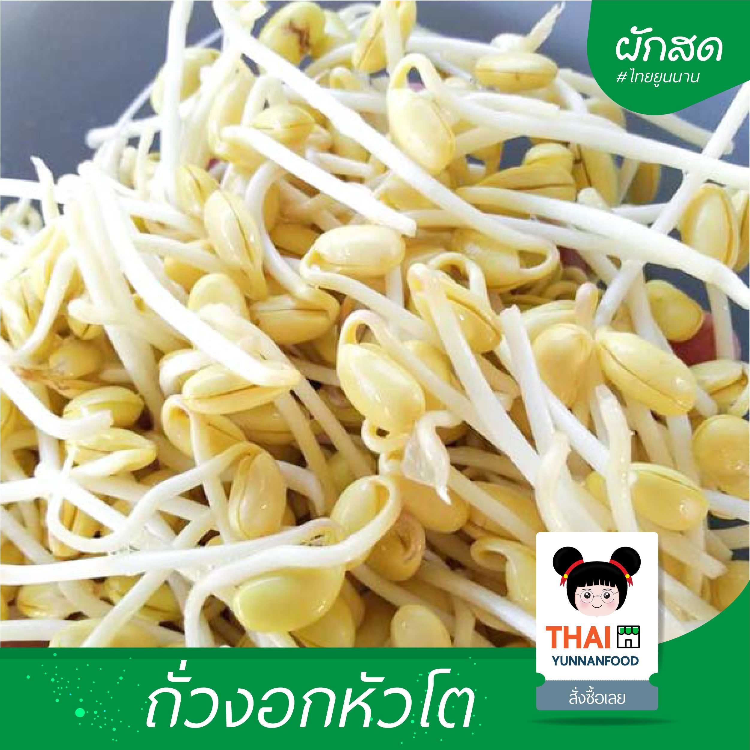 ถั่วงอกหัวโต - 大头豆芽  | อาหารแปรรูปไทยยูนนาน