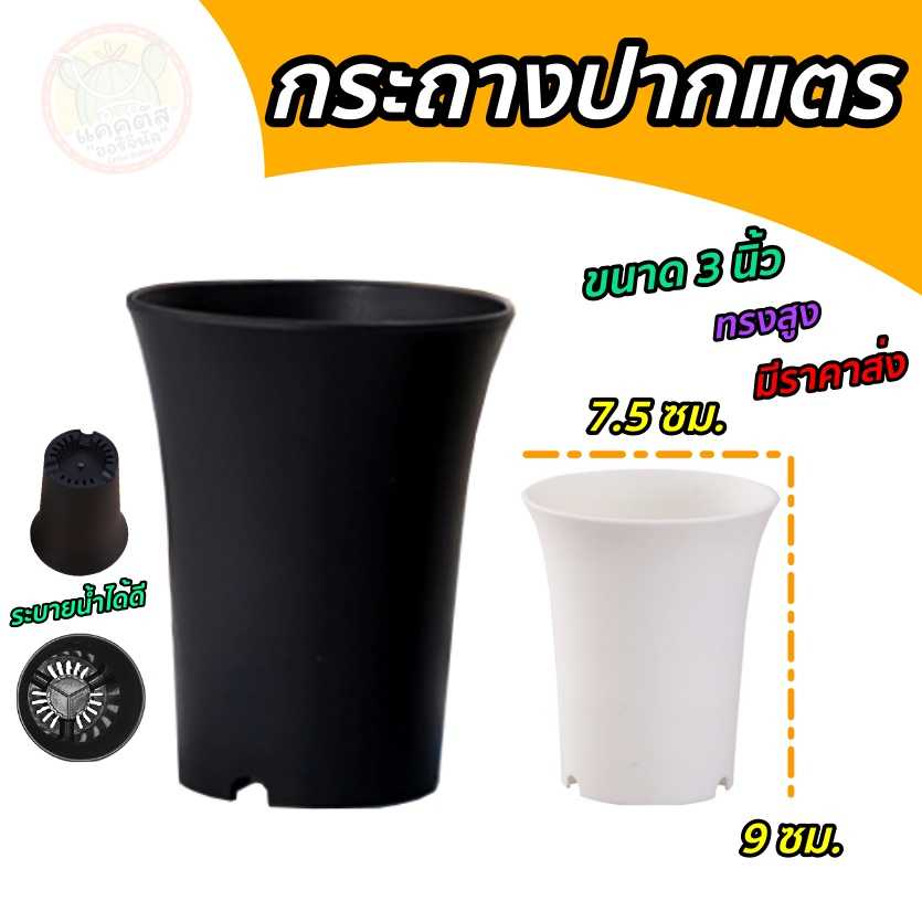 กระถางแคคตัส กระถางปากแตร 3 นิ้ว กระถางกลม ทรงสูง พลาสติก เหมาะสำหรับเลี้ยงกระบองเพชร หนา สวยงาม