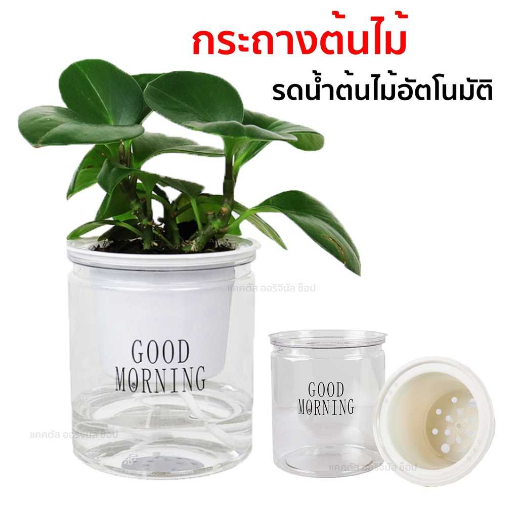 กระถางต้นไม้มินิมอล พลาสติก สองชั้น กระถางรดน้ำต้นไม้อัตโนมัติ เหมาะสำหรับ ปลูก ไม้ฟอกอากาศ 