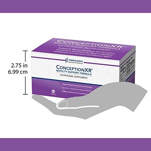 Conception xr motility support | LINE SHOPPING