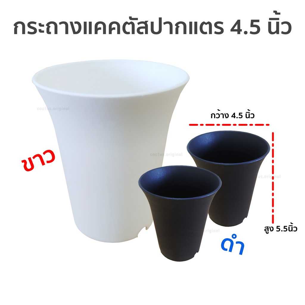 กระถางปากแตร 4.5 นิ้ว กระถางแคคตัส มี 2 สี ผิวด้านไม่มัน กลม ทรงสูง พลาสติกหนา แคคตัส ต้นไม้ ทั่วไป 