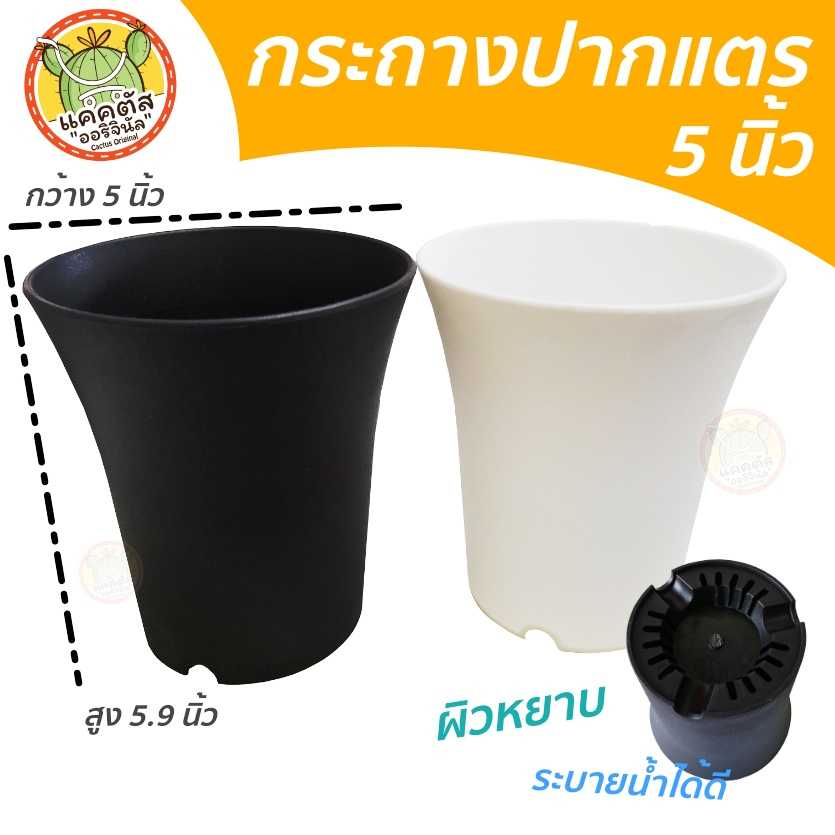 กระถางปากแตร 5 นิ้ว ทรงสูง ผิวด้าน กระถางแคคตัส กระถางไม้กราฟ พลาสติกหนา แข็งแรง ระบายน้ำได้ดี สีขาว