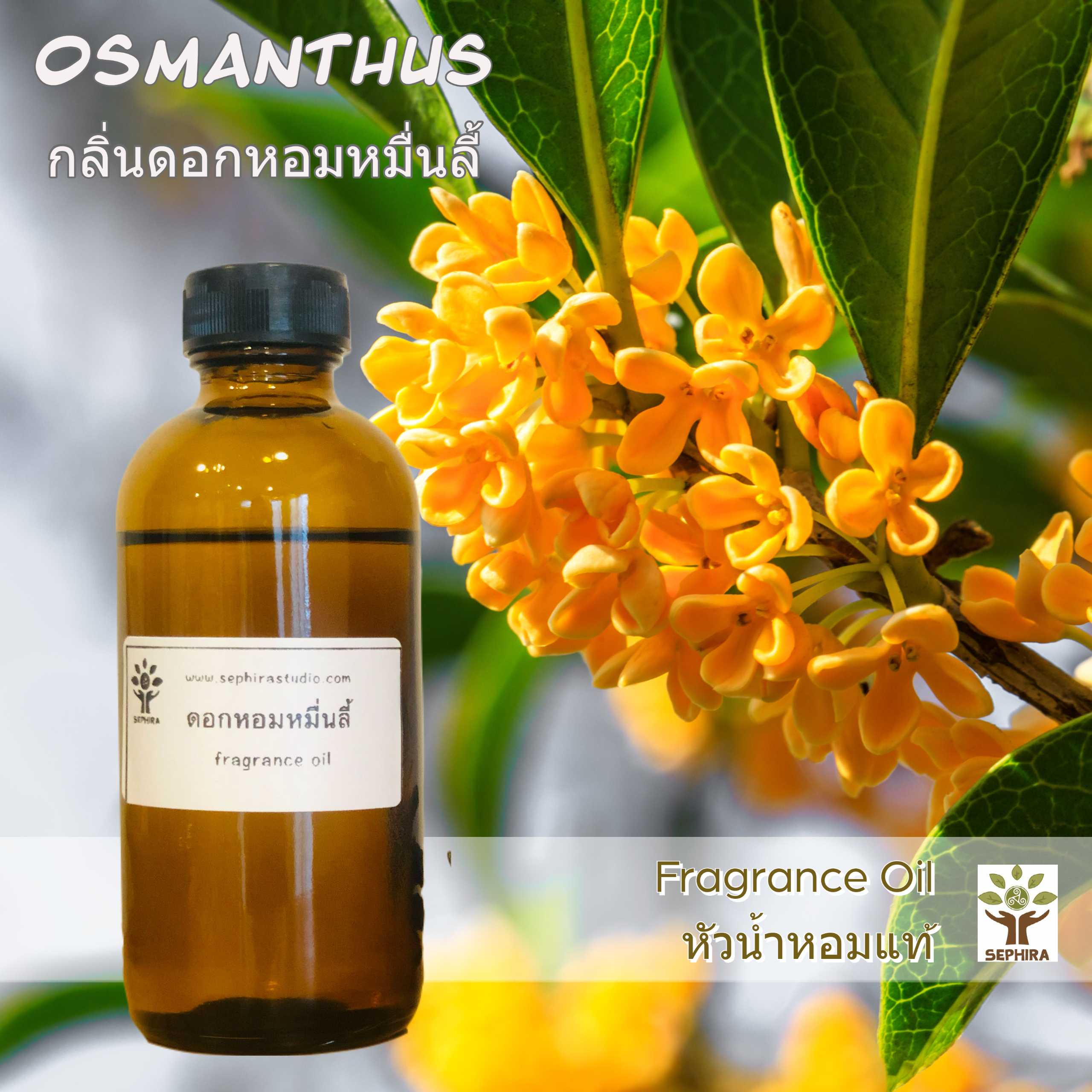 หัวน้ำหอมกลิ่นดอกหอมหมื่นลี้ Osmanthus Fragrance Oil สำหรับผสม ทำสบู่ ทำโลชั่น น้ำหอมฉีดตัว ทำเทียน