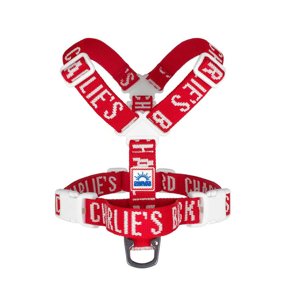 Charlie's Backyard  TRIP HARNESS / RED