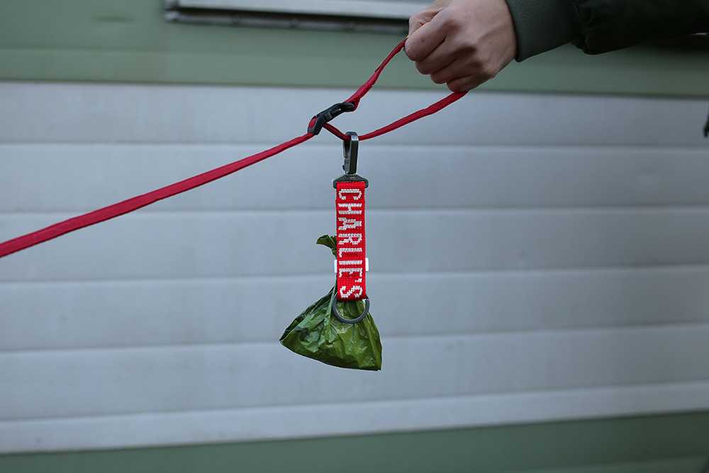 Charlie's Backyard  TRIP POOBAG KEY RING / RED