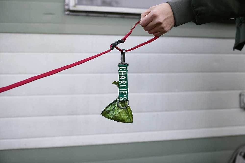 Charlie's Backyard  TRIP POOBAG KEY RING / GREEN