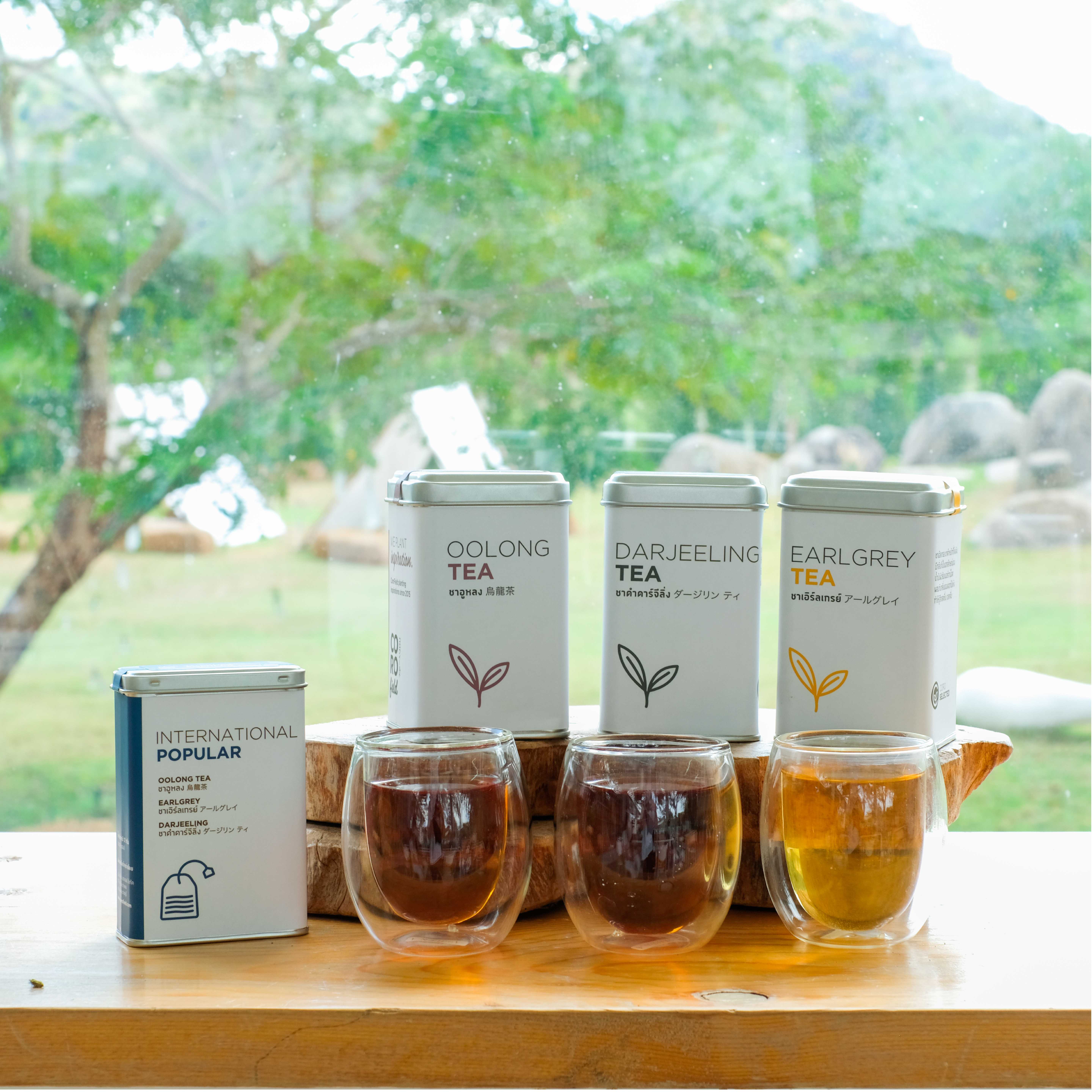 International popular tea - ชากระป๋องผสมอินเตอร์