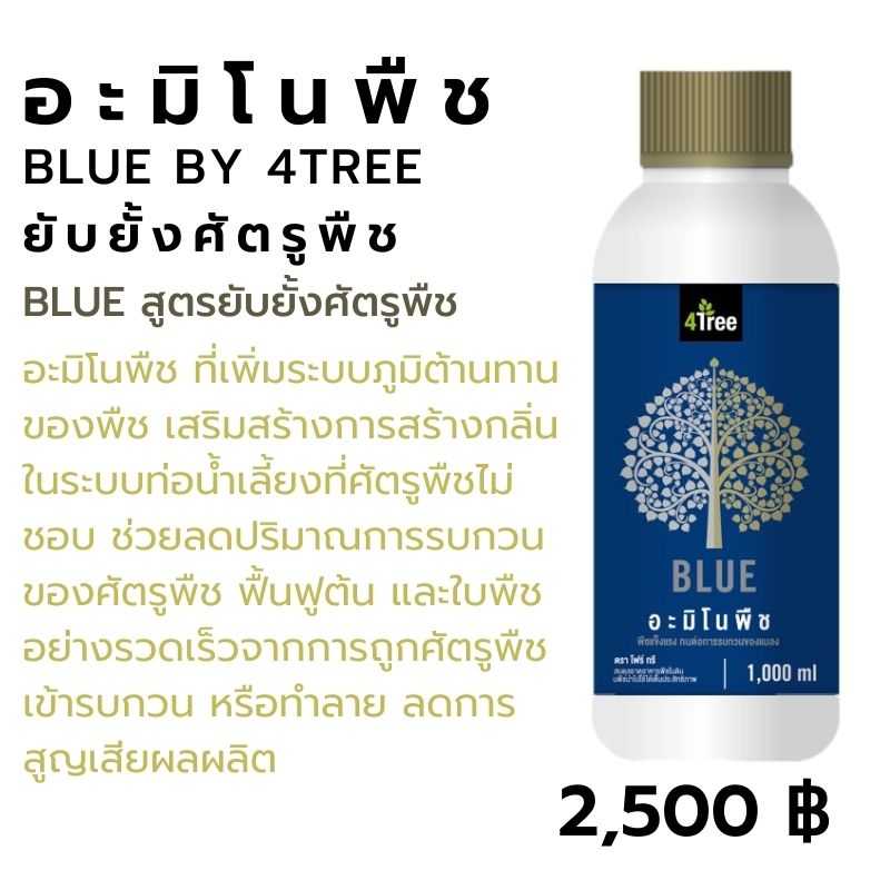 อะมิโนพืช บลู (Amino Blue) 1000 ml 1 ขวด