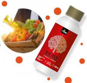 อะมิโน เรด Amino Red ขนาด 250 ml. สูตรเพิ่มคุณภาพ