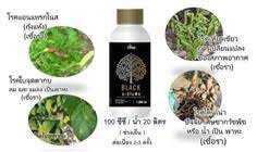 Black by 4TREE อะมิโนแบล็ค 250 ml