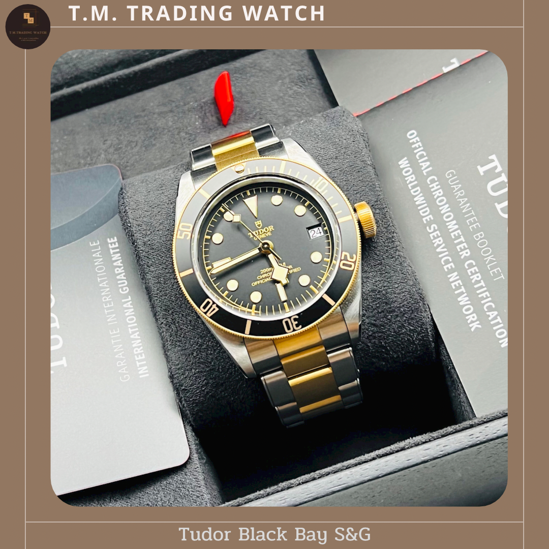 Tudor Black Bay S&G