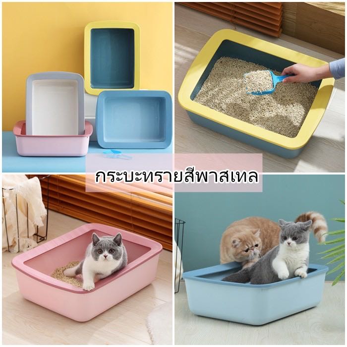 ุึ กระบะทราย ห้องน้ำแมว กระบะทรายแมว